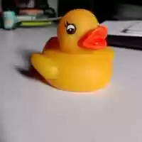 Free download MrDuck_No Script [Beat Music] video and edit with RedcoolMedia movie maker MovieStudio video editor online and AudioStudio audio editor onlin